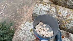 Подготовка пеньков для посадки вёшенки, подробно.