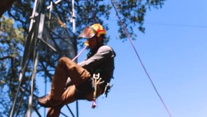 Petzl Zigzag Plus arborist gear review