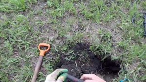 поиск камрада с мд х Терра 705!