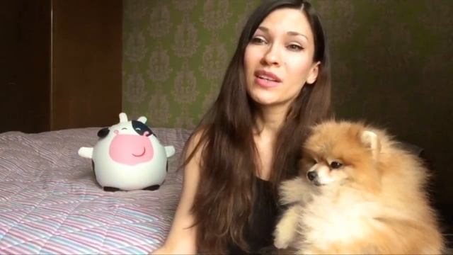 Как у меня появилась Собака Шпиц Гетсби смотреть онлайн