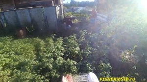 Переносной, походный душ - автомойка за 30 рублей. Реально!