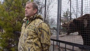 Кому нужны медведи парка "Тайган"?