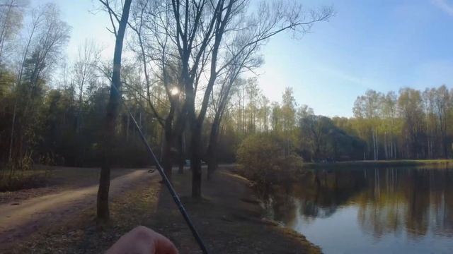 Попутная рыбалка #1. Какая рыба ловится в прудах Питера? смотреть онлайн