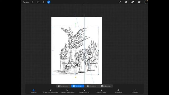 Как нарисовать растения в кашпо - Быстрый СКЕТЧ. Красивая ГРАФИКА. Procreate