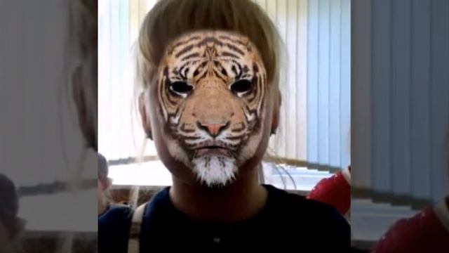 Наш класс звери смотреть онлайн