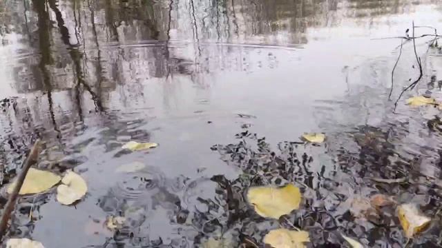 Чистые пруды деревни 🍂