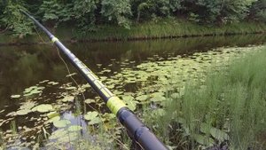 Щука на поплавок. Ловля щуки на живца на реке Керженец