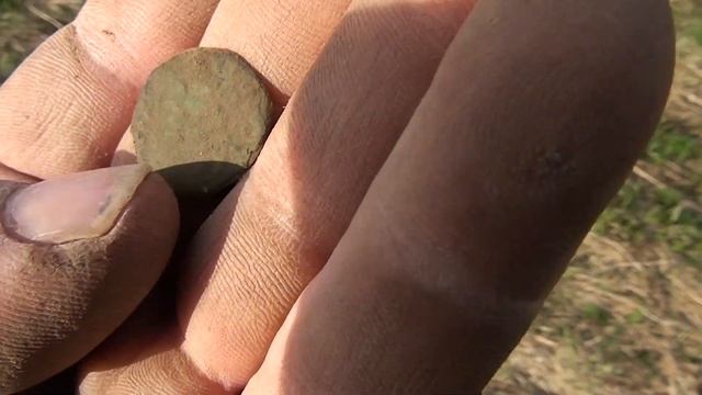 В лесу нашли древнее поселение где было море находок 12-14 века.