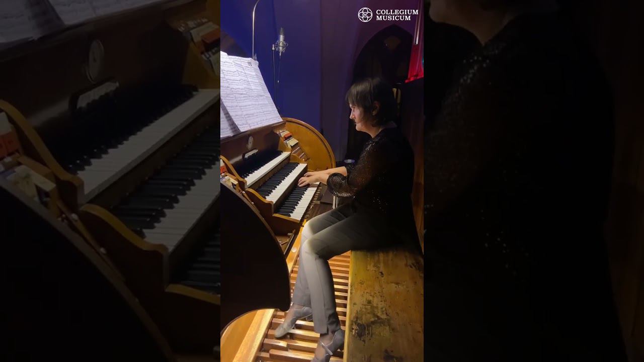 Ко дню рождения Рихарда Вагнера: «Полёт Валькирии» в органном переложении Марии Блажевич #shorts смотреть онлайн