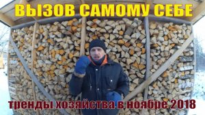 ДЕРЕВЕНСКИЙ ЧЕЛЛЕНДЖ САМОМУ СЕБЕ // В ХОЗЯЙСТВЕ ТРЕНДЫ НОЯБРЯ 2018 - ДРОВА И МЯСО