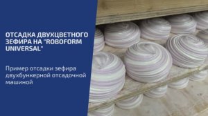 RoboForm (зефир 2)