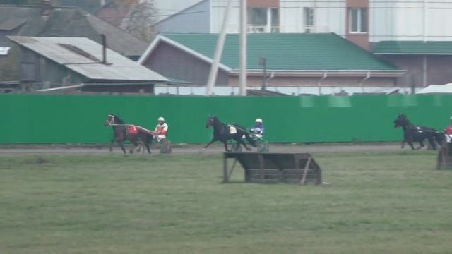 ПРИЗ Улова для лошадей орловской рысистой породы 2-х лет, 1600 м смотреть онлайн