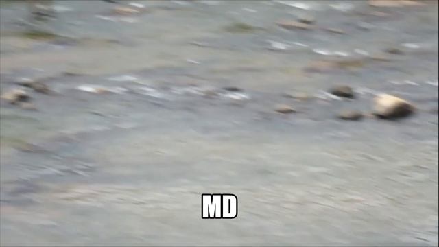 Sri lanka elephant Pinnawala Elephant Orphanage Funny and Cute Baby Elephants. смотреть онлайн