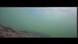 Хариус зимой. Часть 1.mp4