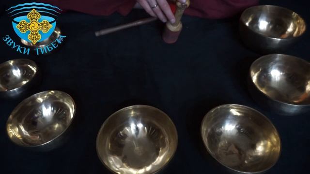 55-I-НАБОР ТИБЕТСКИХ ЧАШ ДЛЯ ЗВУКОТЕРАПИИ И МЕДИТАТИВНЫХ ПРАКТИК 7 ПОЮЩИХ ЧАШ-7НОТ-7ЧАКР. ОБЗОР смотреть онлайн