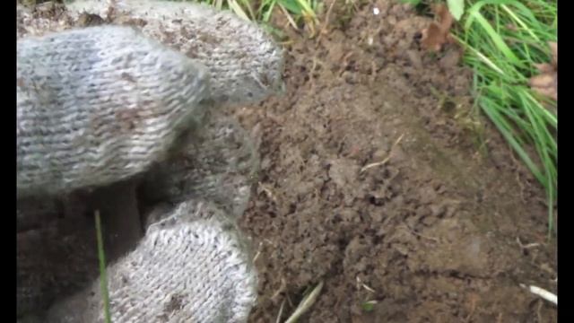 Однодворка!  Поиск селища в лесу и на болоте! Как найти место для копа без карт.