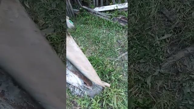 Забор из арт бетона своими руками смотреть онлайн