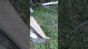 Забор из арт бетона своими руками