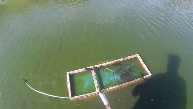 Ловля мотыля на струну. Живой корм для аквариумных рыб. смотреть онлайн