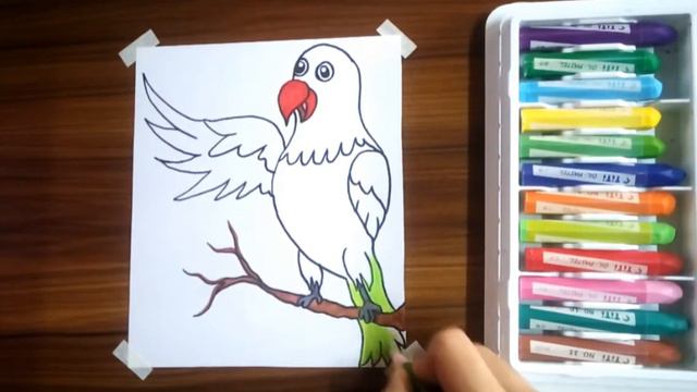 How to draw a Parrot Bird scenery on tree with oil pastel easy art for the beginner's step by step смотреть онлайн
