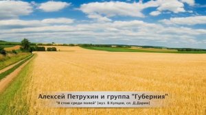 Алексей Петрухин и гр. Губерния - "Я стою среди полей"