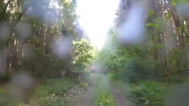 Лес, скорость за Гепарде 650. Квадроперцы смотреть онлайн