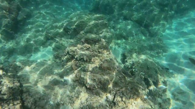 Музыка для сна ? Музыка для медитации и релаксации, звуки природы ? Подводный мир смотреть онлайн