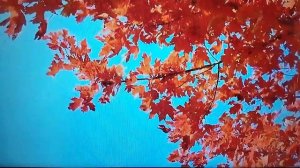 Авторская песна (стихи, музыка) Николая Салтыкова. исполняет автор и Любовь Салтыкова.