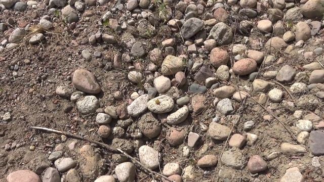 Найден фиолетовый и желтый камень смотреть онлайн