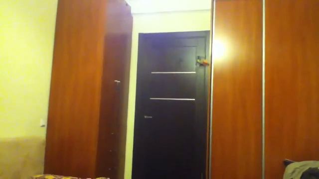 19. WLtoys V911 / FP100 2.4G 4CH RC Helicopter │HD│ смотреть онлайн