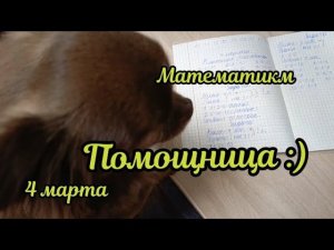 Взяла тетради на проверку