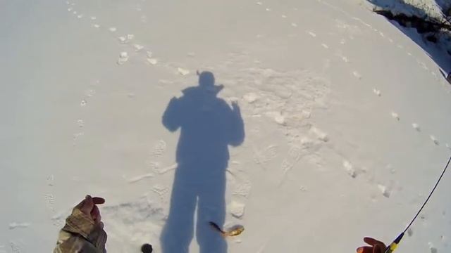 Рыбалка со льда на мормышку с мотылем и балансир. смотреть онлайн