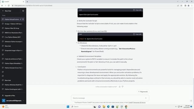 Python Virtual Environment Activation Problem