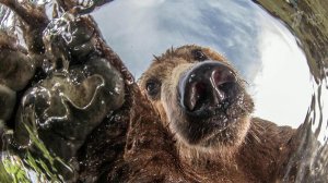 Такая большая и такая разная Россия представлена в фотографиях на конкурсе РГО