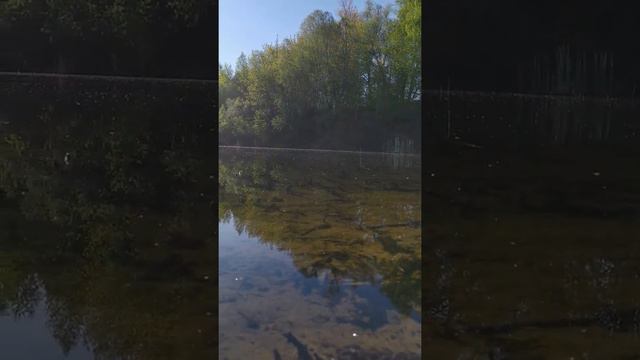 Каким будет начало дня, таким будет и весь день смотреть онлайн