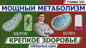 ? Обзор метаболизма №1. В чём сила, док? – В митохондриях, сынок! Глава VII. Как дышат митохондрии