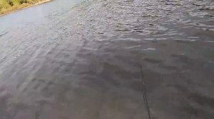 Майская рыбалка на карася 2019.Рощинское.Рыбалка на спиннинг.