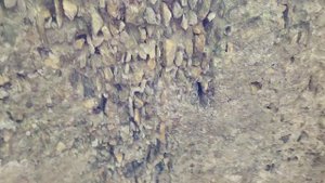 Айдын, Турция. Античный город Ниса (NYSA). Амфитеатр и тунели.