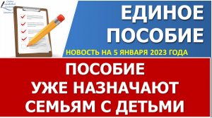 Единое пособие уже назначают семьям в новогодние праздники!