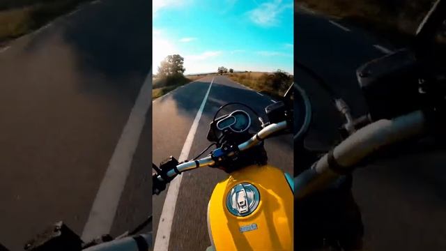 Ducati cruising ?? #ducati #scrambler #scramblerducati #ducatiscrambler #motorcycle #firstshort смотреть онлайн