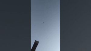 Бакинские голуби в Крыму