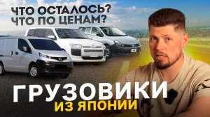 БЮДЖЕТНЫЕ ГРУЗОВЫЕ АВТОМОБИЛИ ИЗ ЯПОНИИ