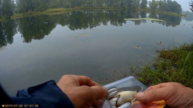 #fishing in siberia Ловля щуки на китайский виброхвост смотреть онлайн