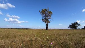 По дороге на Межубры. Касимовский район. Касимов