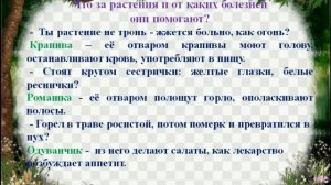 6+ Виртуальная выставка-викторина "Загадки в лесу на каждом шагу" в Детской библиотеке МБУК ОР "МЦБ