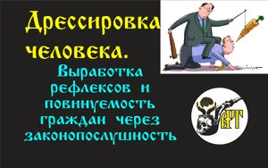 Про дрессировку человека при помощи "дурных" законов..mp4