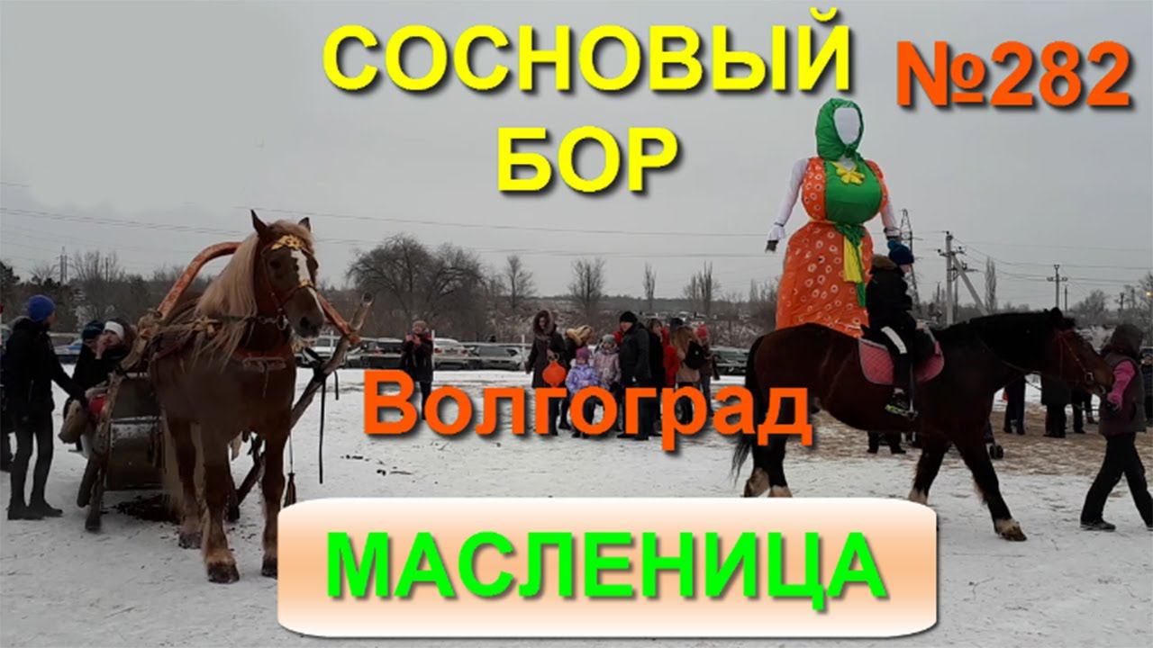МАСЛЕНИЦА в СОСНОВОМ БОРУ, проводы зимы  в Волгограде. Прощеное воскресение