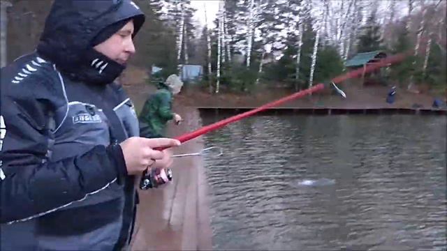 Ловля форели в экстремальных условиях. Клёвое место, Лосиный остров, спорт-зона. смотреть онлайн