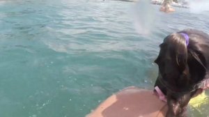 Пляж в Сочи!Чистая вода!Тестируем камеруCanon Legria mini под водой и купаемся!?♂️?♀️