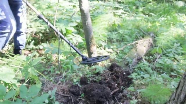 поиск золото КОЛЧАКА
